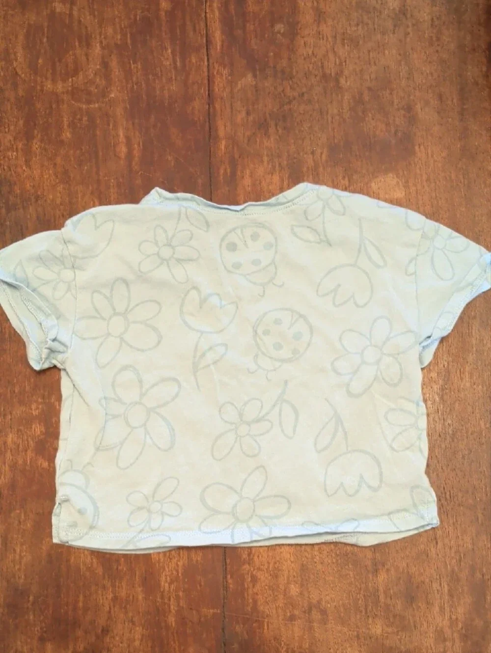 Carter's Pale Blue Floral & Ladybug Pajama Set